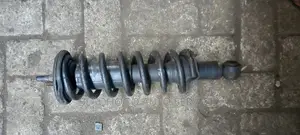 Nissan Pathfinder/Navara 2005-12 Shock Absorber Pair in Stoc