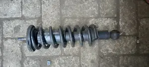 Nissan Pathfinder/Navara 2005-12 Shock Absorber Pair in Stoc