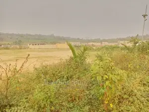 400 Acres of Land at Dodowa Ayikuma Per Acre Is 100,000 Ghc