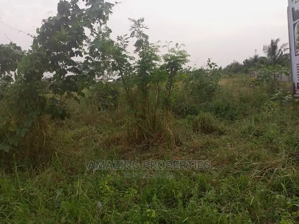 6000acres of Land Available for Sale at Dodowa
