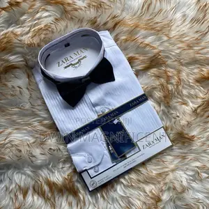 Zara Man Dinner Shirts