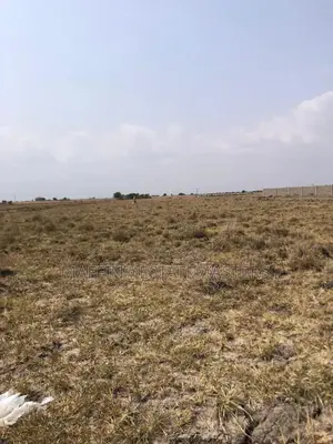 Levelled Land for Sale at Tsopoli