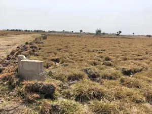 Land Between 2 Communities at Tsopoli for Sale