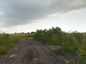 For Sale 3000acres of Land at Asebi, Shai-Osudoku District