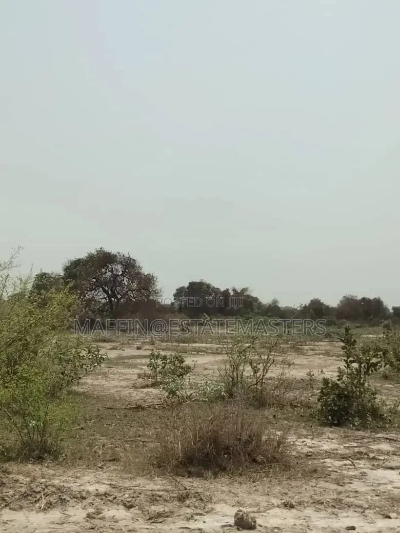 Deluxe but Affordable Land for Sale at Tsopoli