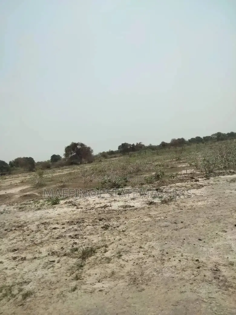 Land for Sale in a Gated Community at Tsopoli Kings Cottage