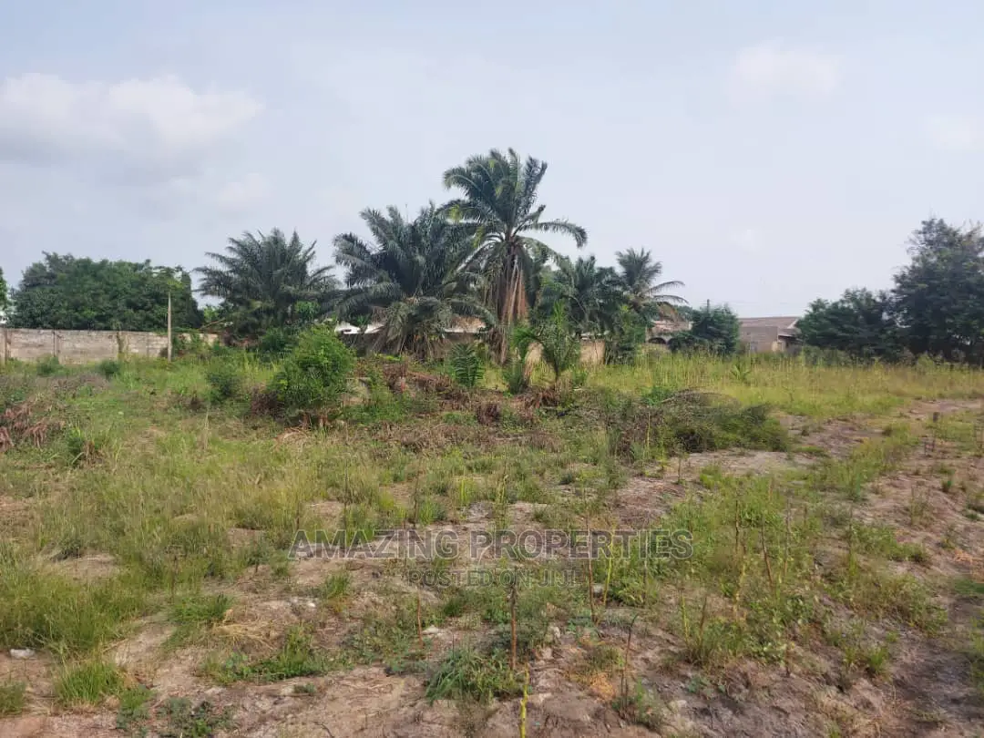 For Sale a TITLED 3 Plot
 Roman Ridge