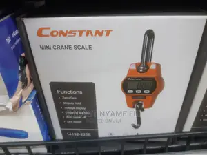 Mini Crane Scale 300kg