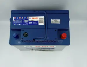 Quality Bosch Car Battery-free Instant Delivery