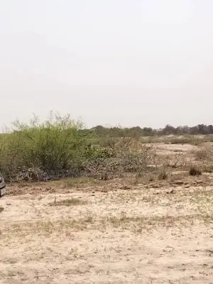 Best Residential Land for Sale