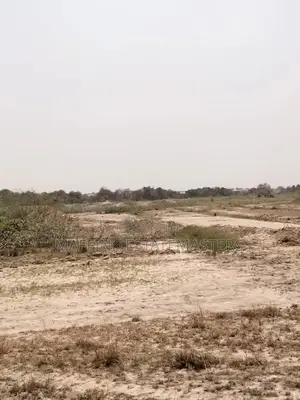 Amazing Demarcated and Plotted Land for Sale at Tsopoli