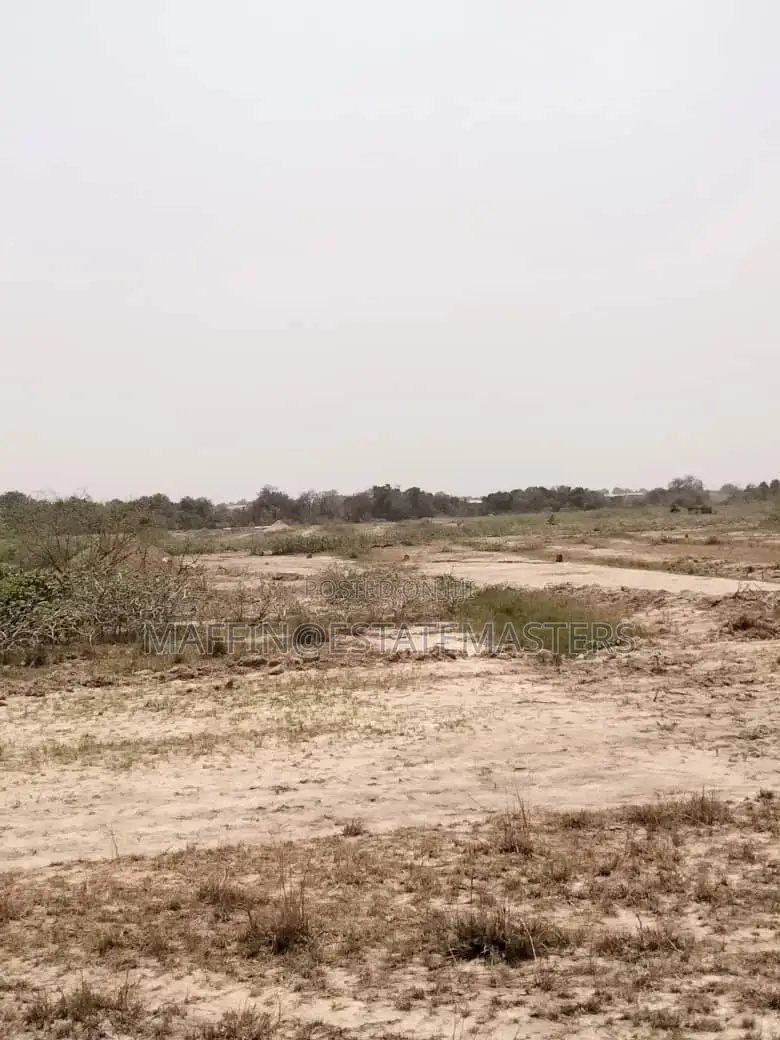 Amazing Demarcated and Plotted Land for Sale at Tsopoli