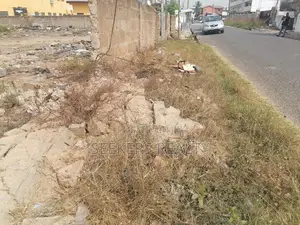 One and Half Plot of Land for Sale at Osu Ako Adjei