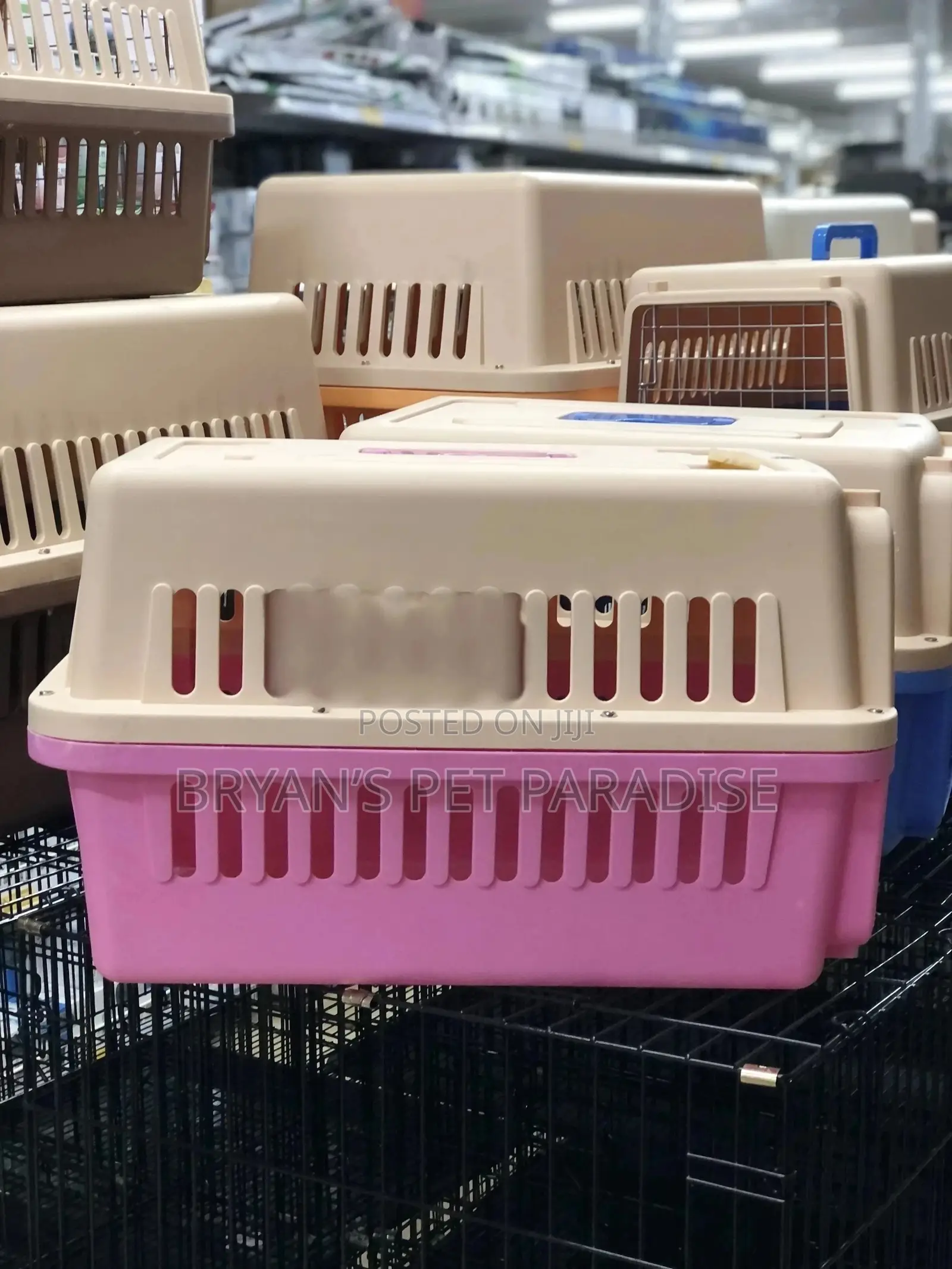 Medium Size Plastic Cages Available
