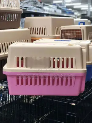 Medium Size Plastic Cages Available