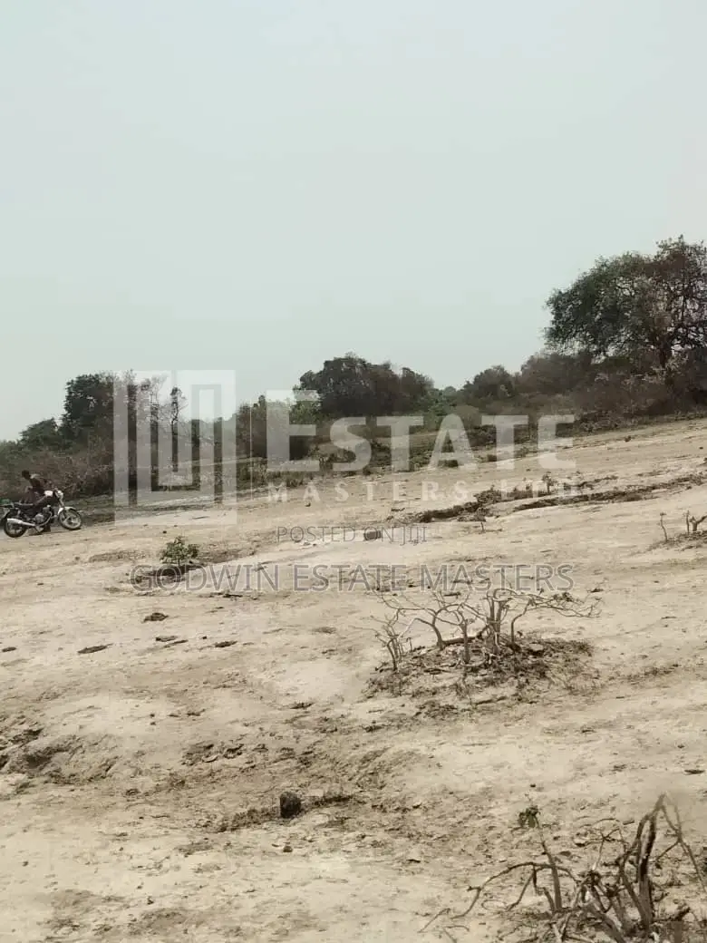 Neatly Demarcated Plots for Sale