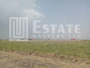 Affordable Plots for Sale Tsopoli