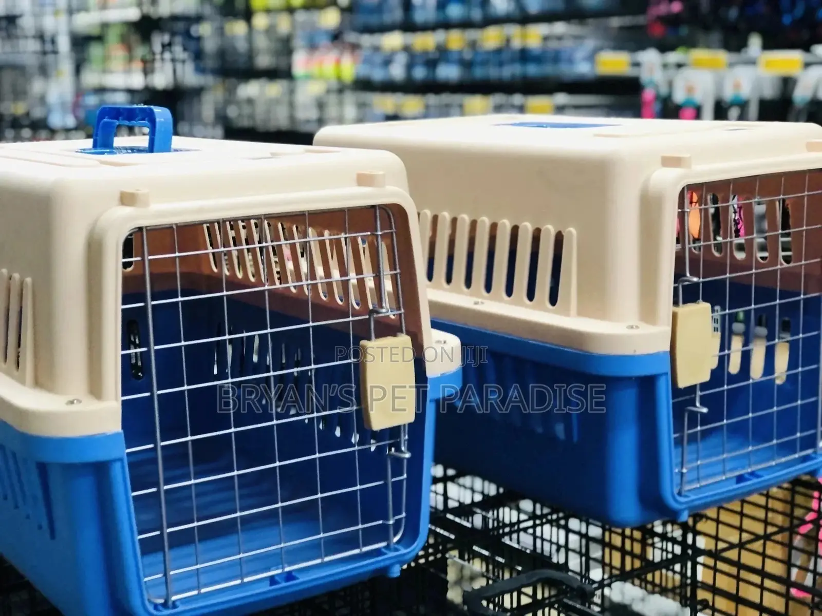 Medium Size Plastic Cages Available