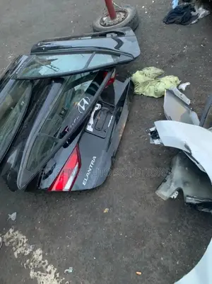 Elantra 2017 -2018 Doors Boot