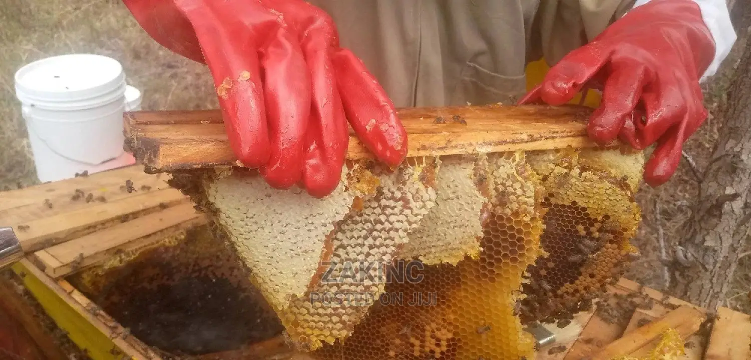Premium Unprocessed Raw Honey