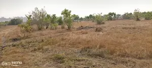 17 Acre of Land for Sale Central University and Dawa.