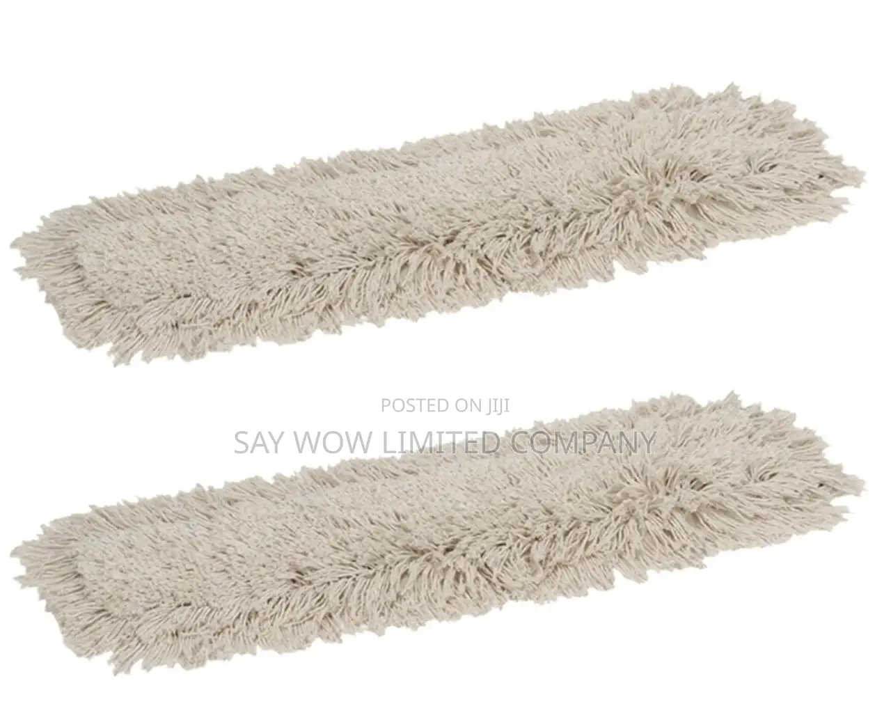 Ramon Dust Sweeper and Aluminum Telescopic Handle