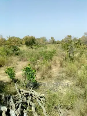 Farmlands Land at Kintampo