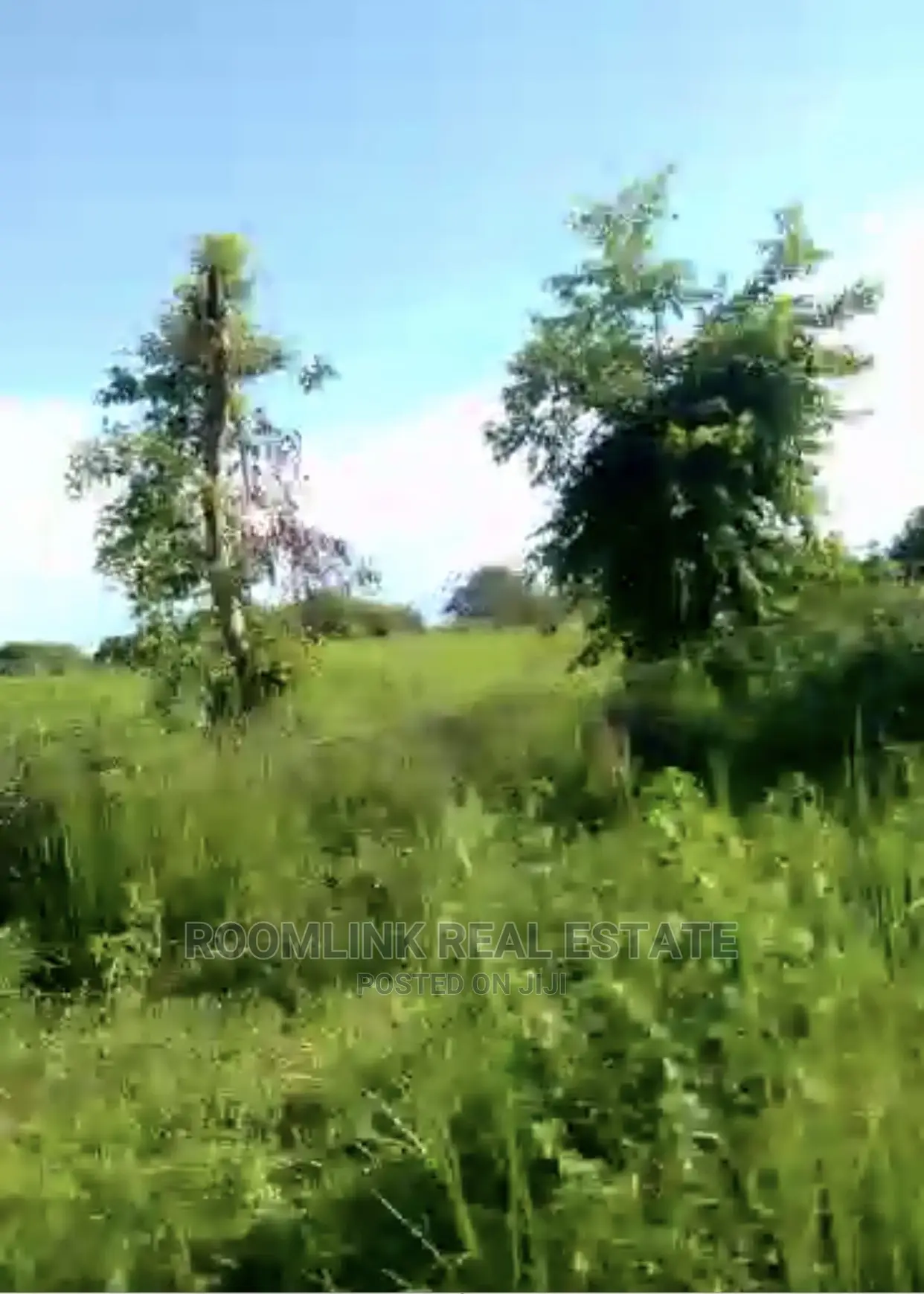 Farmlands Land at Kintampo