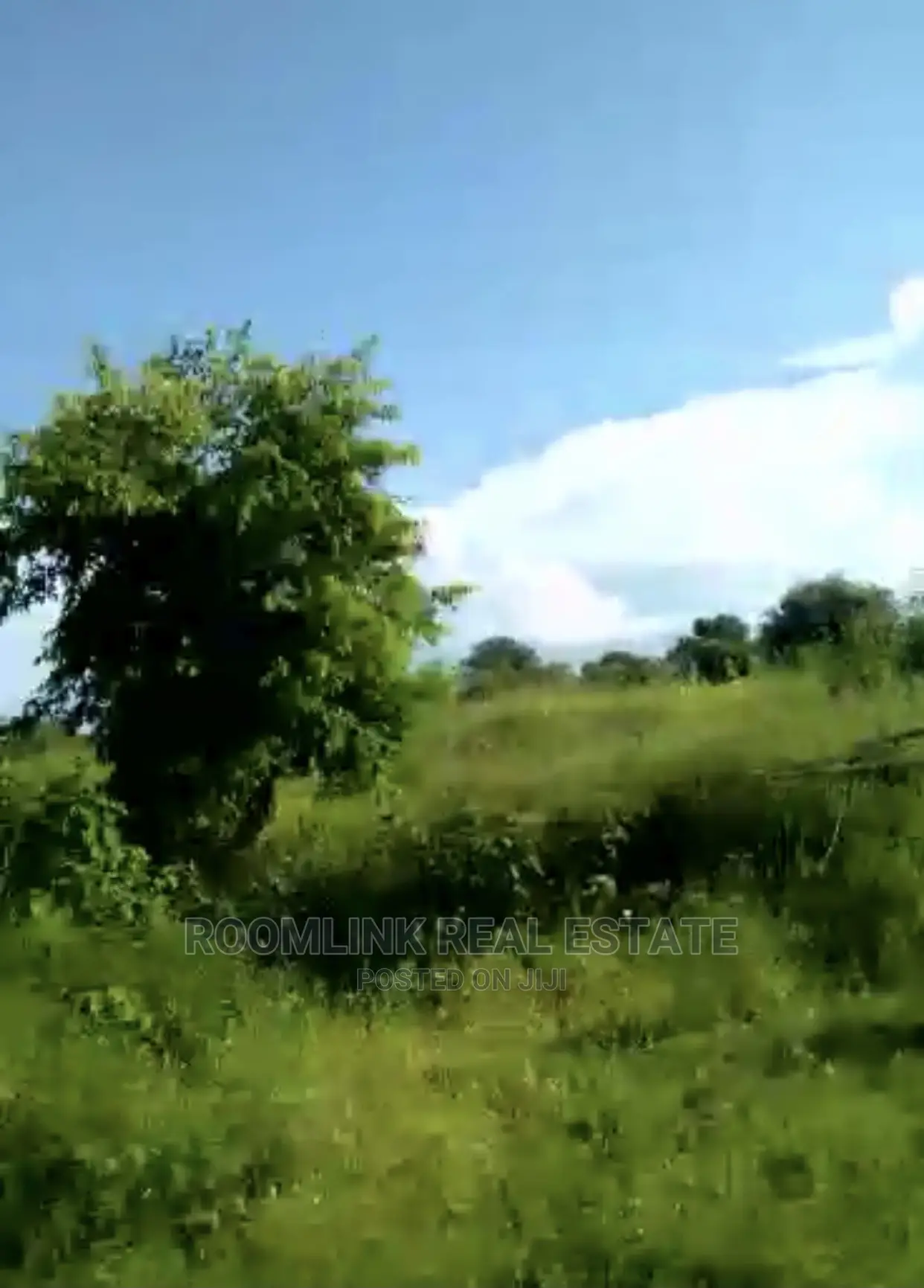 Farmlands Land at Kintampo