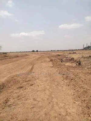 New Airport City Genuine Lands for Sale
