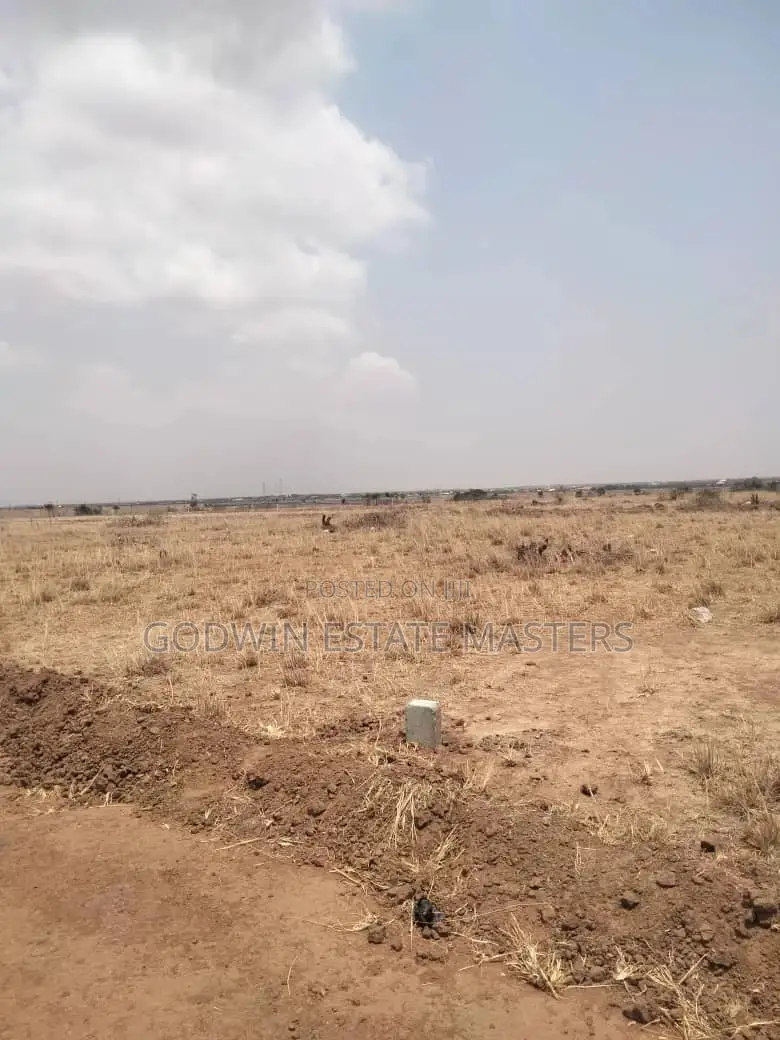 New Airport City Genuine Lands for Sale