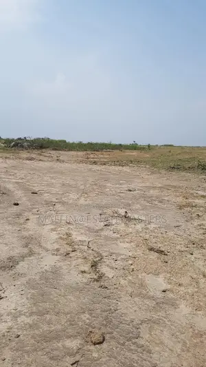 Interest Rate Drop "Land for Sale"