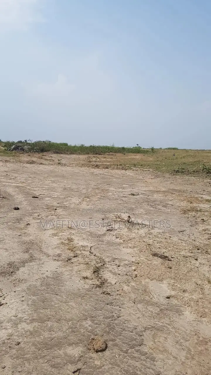 Interest Rate Drop "Land for Sale"