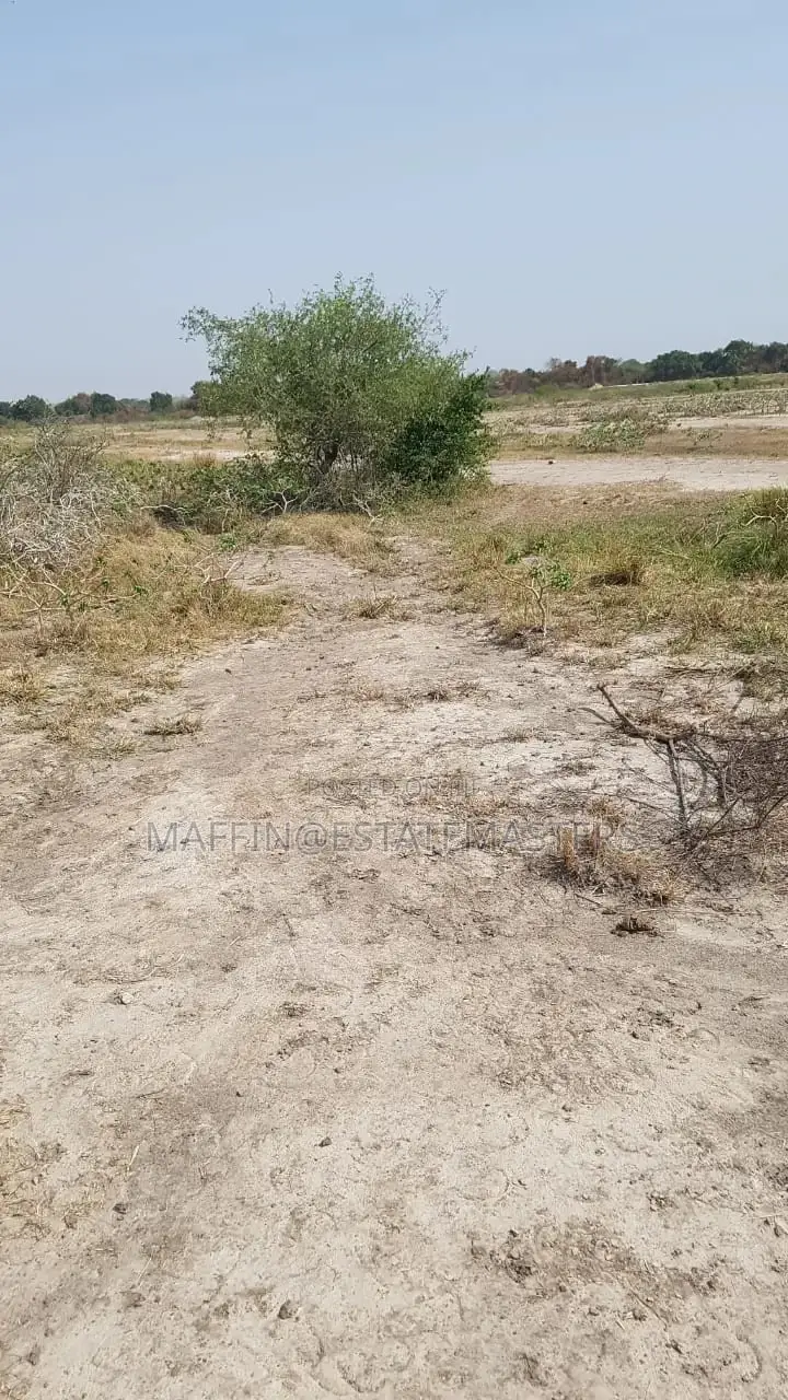 Interest Rate Drop "Land for Sale"