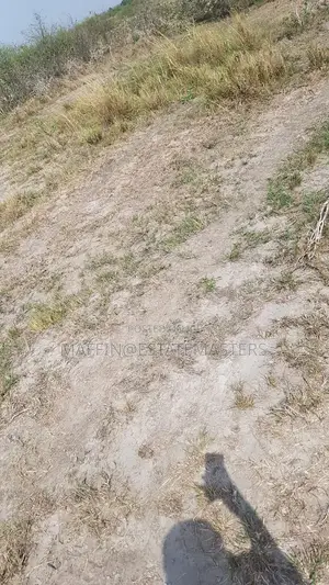 Interest Rate Drop "Land for Sale"