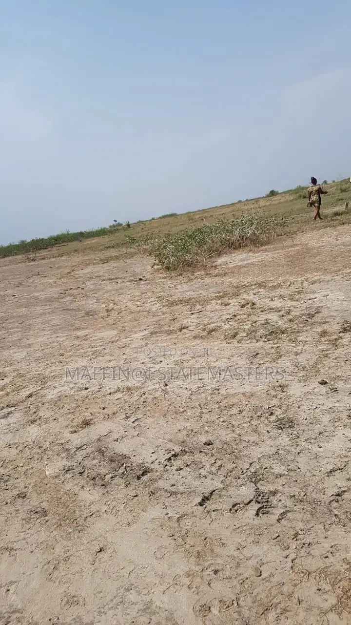 Interest Rate Drop "Land for Sale"