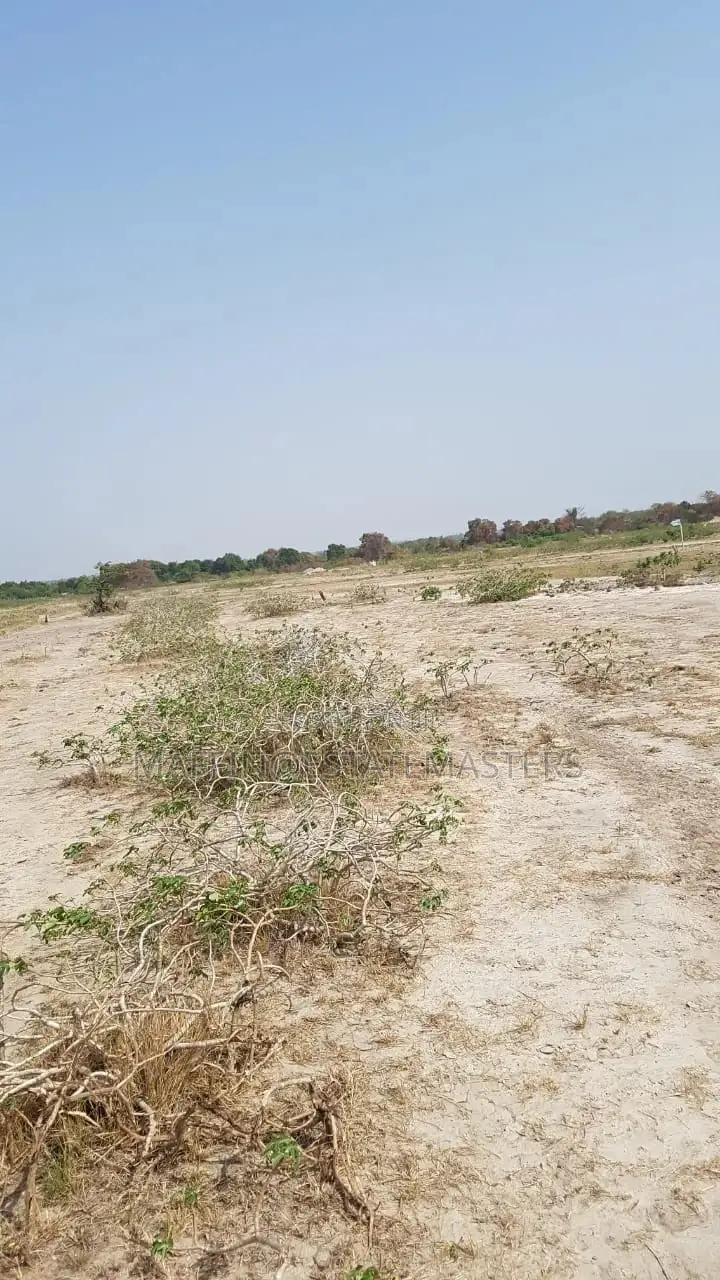 Interest Rate Drop "Land for Sale"