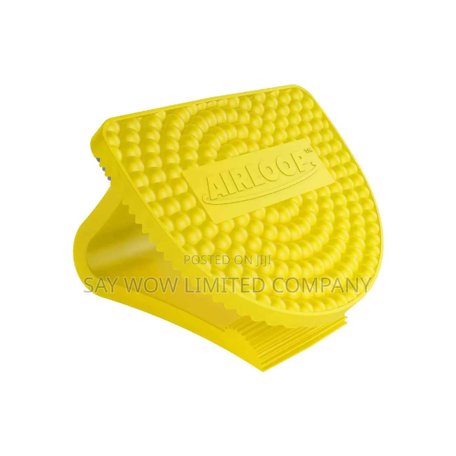 Airloop Toilet Bowl Clip Air Freshener( 1 X 10)