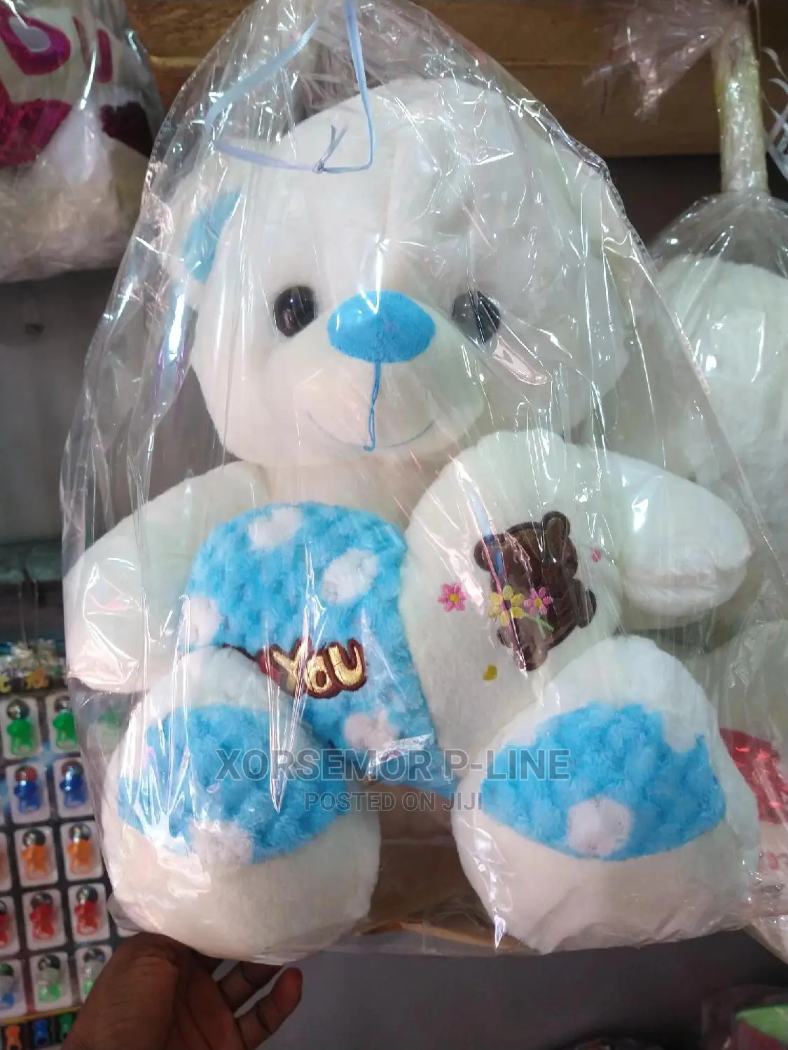 Teddy Companion Friend