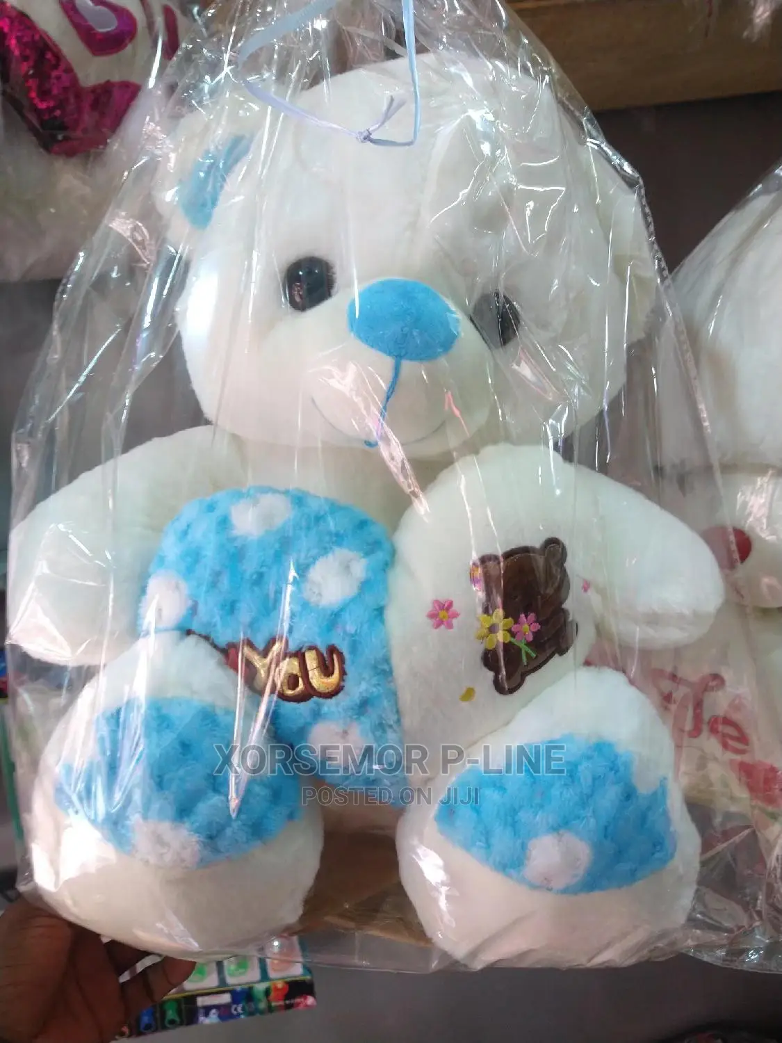 Teddy Companion Friend