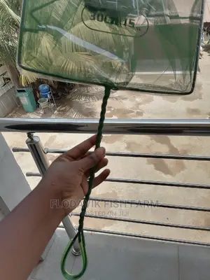 12 Inches Fishing Scoop Net