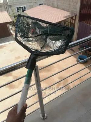 Large Scooping Net