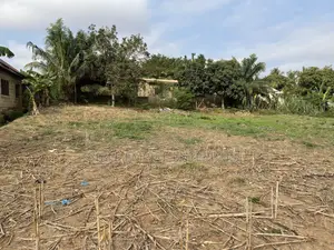 Genuine Land for-Sale.
