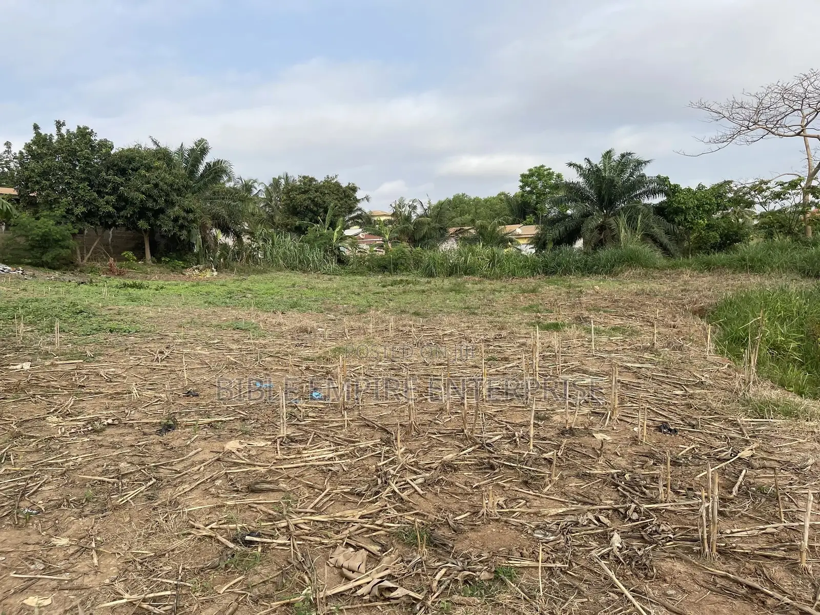Genuine Land for-Sale.