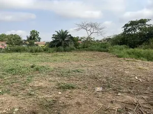 Genuine Land for-Sale.