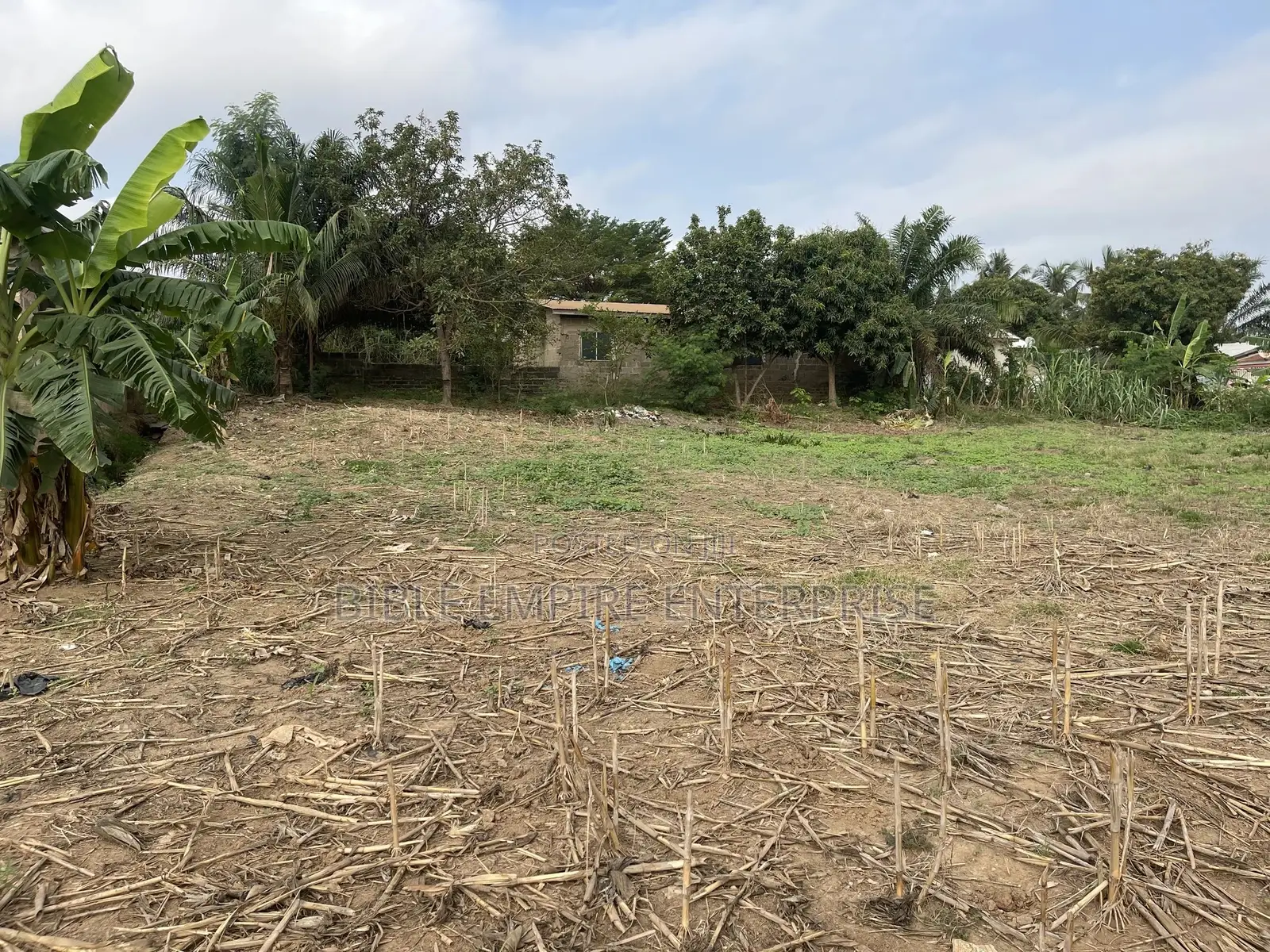 Genuine Land for-Sale.
