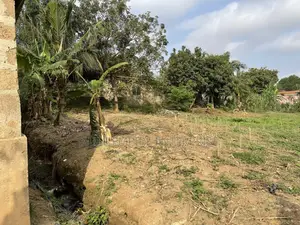 Genuine Land for-Sale.