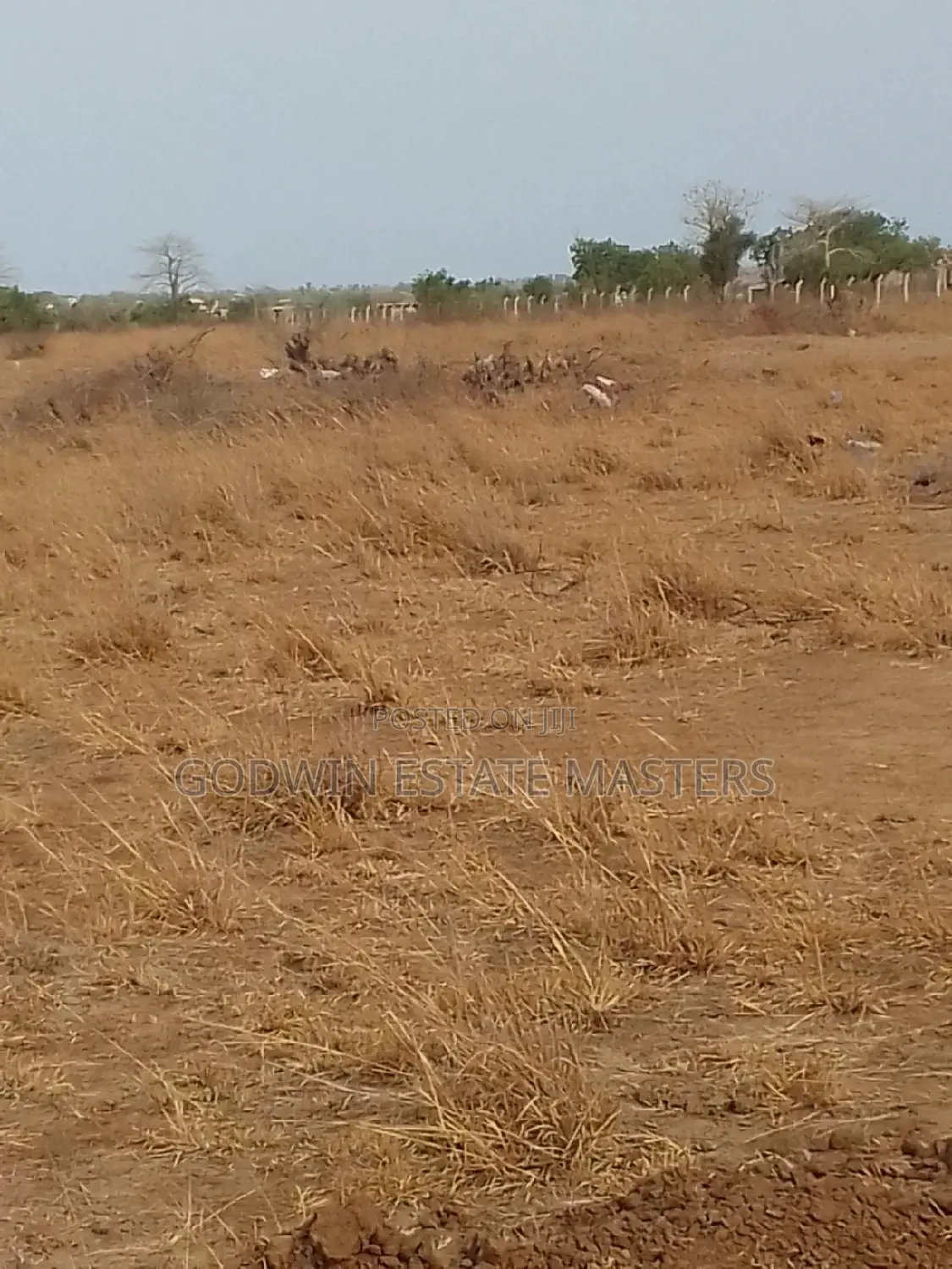 Genuine Amazing Plots of Lands for Sale at Bueko in Prampram