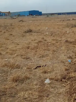 Perfect Plots Located at Bueko for Sale