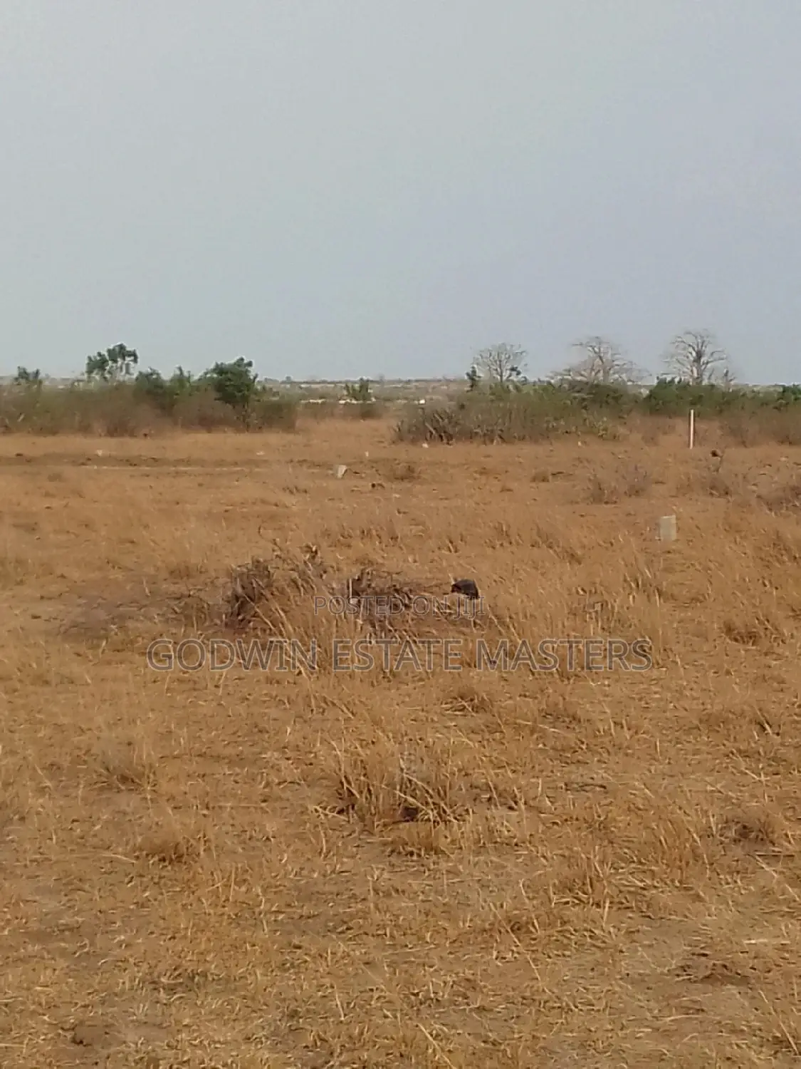 Titled Serviced Plots for Sale at Bueko